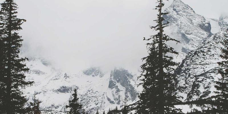 IPv6规模化部署：攻克技术难点与选择最佳过渡方案的实战指南