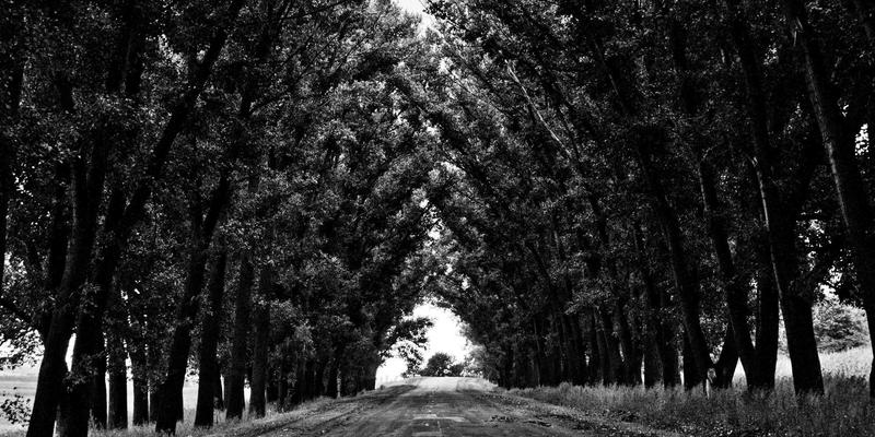 穿透迷雾：NPB技术如何应对加密流量与云环境的可视性危机