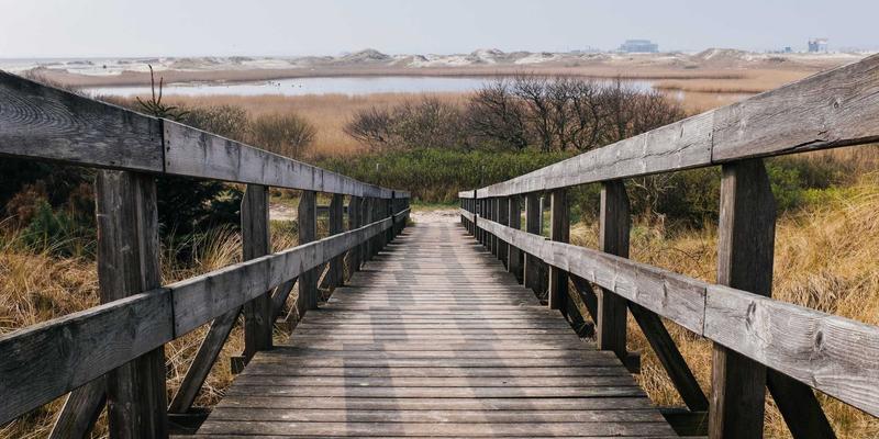 连接未来:揭秘Starlink等LEO卫星星座的网络架构与地面站核心技术